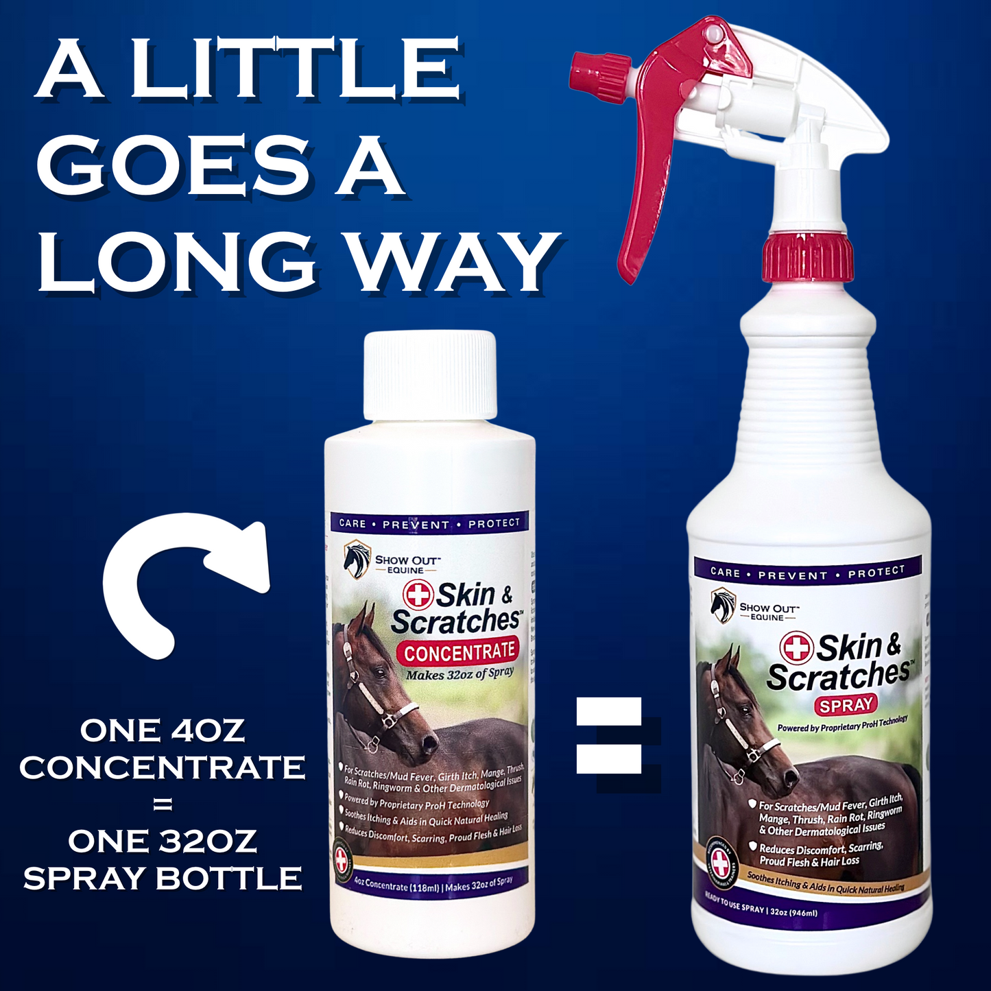 Show Out Skin & Scratches 4 oz Concentrate - Fast Relief and Prevention for Horse Care. Use on Equine Scratches/Mud Fever, Girth Itch, Mange, Thrush, Rain Rot, Ringworm, etc w/Empty Spray Bottle