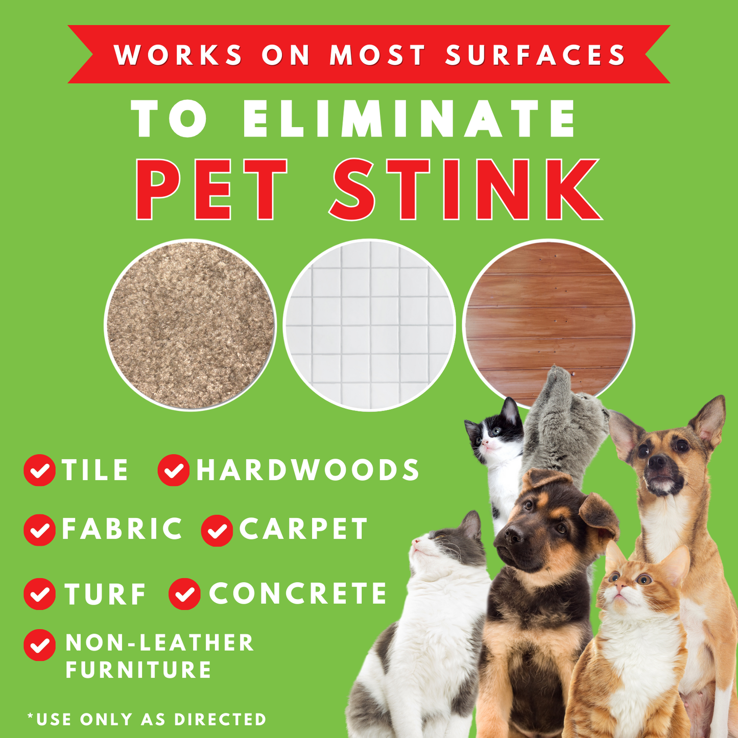 Show Out Odor Control & Urine Smell Remover - Eliminates Odors from Dog, Pet, Horse, Cat, Trailers, Carpet and Homes - Makes 2.5 Gallons of Spray. Pee Odor Destroyer, Eliminator & Enzyme Cleaner