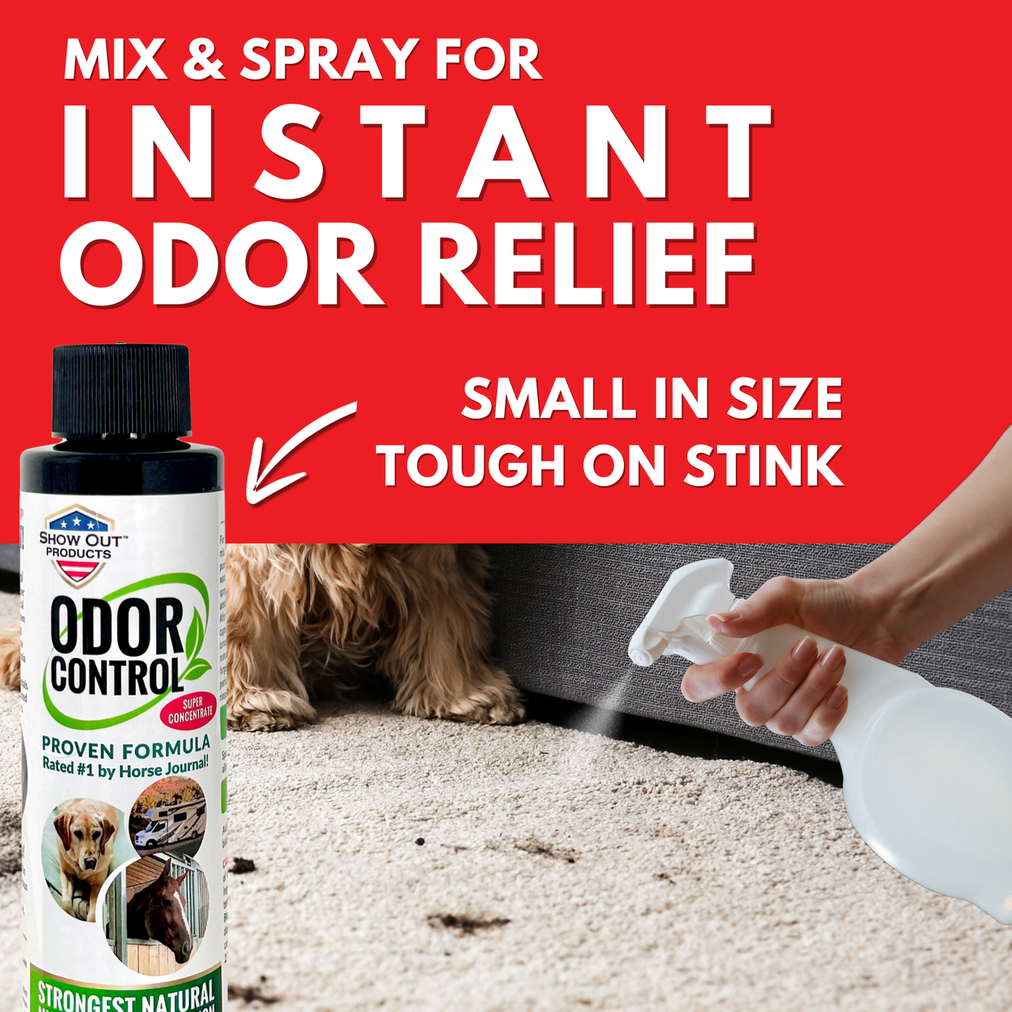 Show Out Odor Control & Urine Smell Remover - Eliminates Odors from Dog, Pet, Horse, Cat, Trailers, Carpet and Homes - Makes 2.5 Gallons of Spray. Pee Odor Destroyer, Eliminator & Enzyme Cleaner