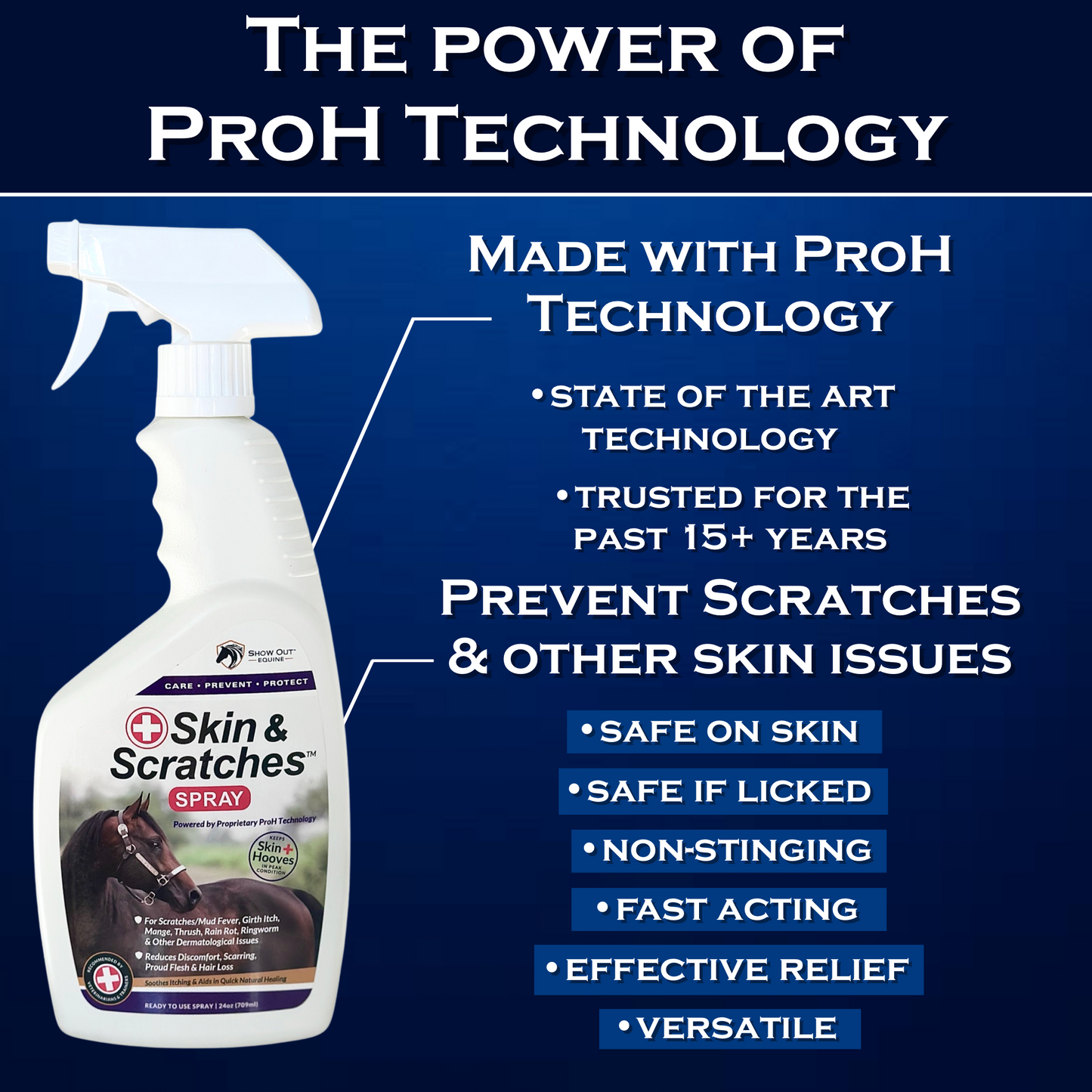 Show Out Skin & Scratches 24 oz Ready to Use Spray- Fast Relief and Prevention for Horse Care. Use on Equine Scratches/Mud Fever, Girth Itch, Mange, Thrush, Rain Rot, Ringworm, etc