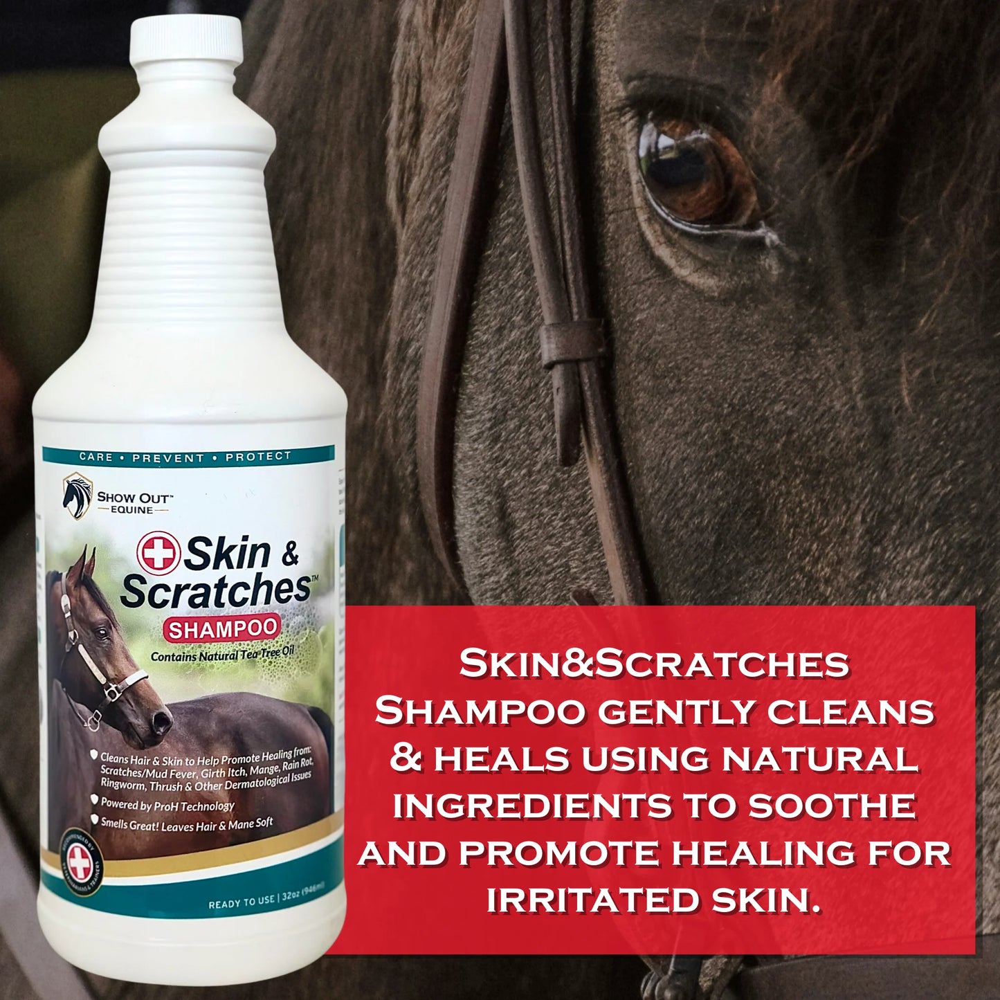 Show Out Skin & Scratches Shampoo 32oz